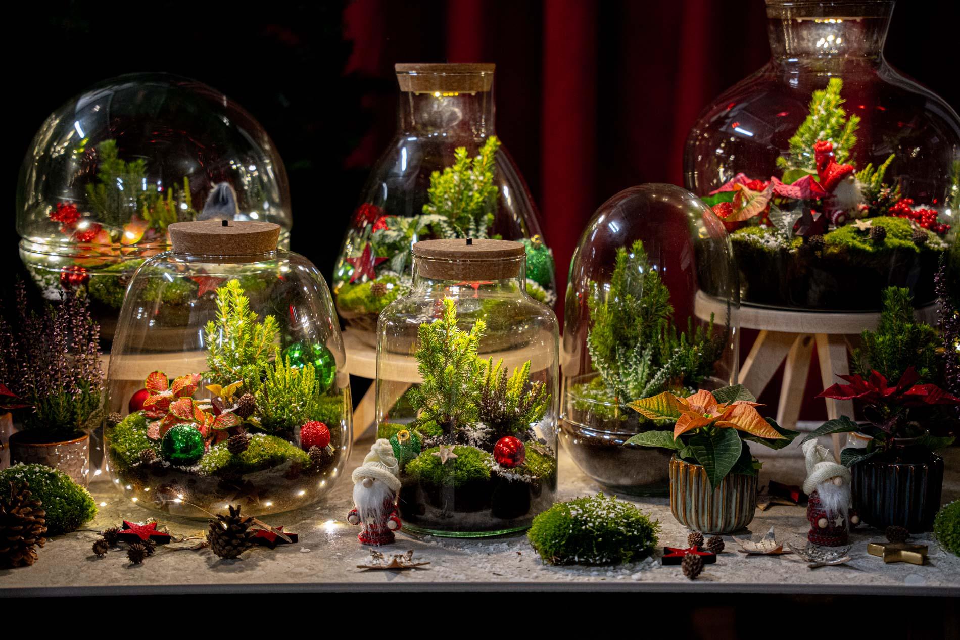 Tinsel Kerstmis terrarium - Planten terrarium - DIY kit Christmas - Ø 19 cm ↑ 20 cm (8720872025339)