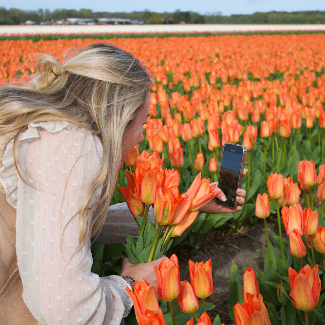 Flowerbulbs amsterdam Orange Emperor - 15 bloembollen - Maat 12+ (8720938490149)