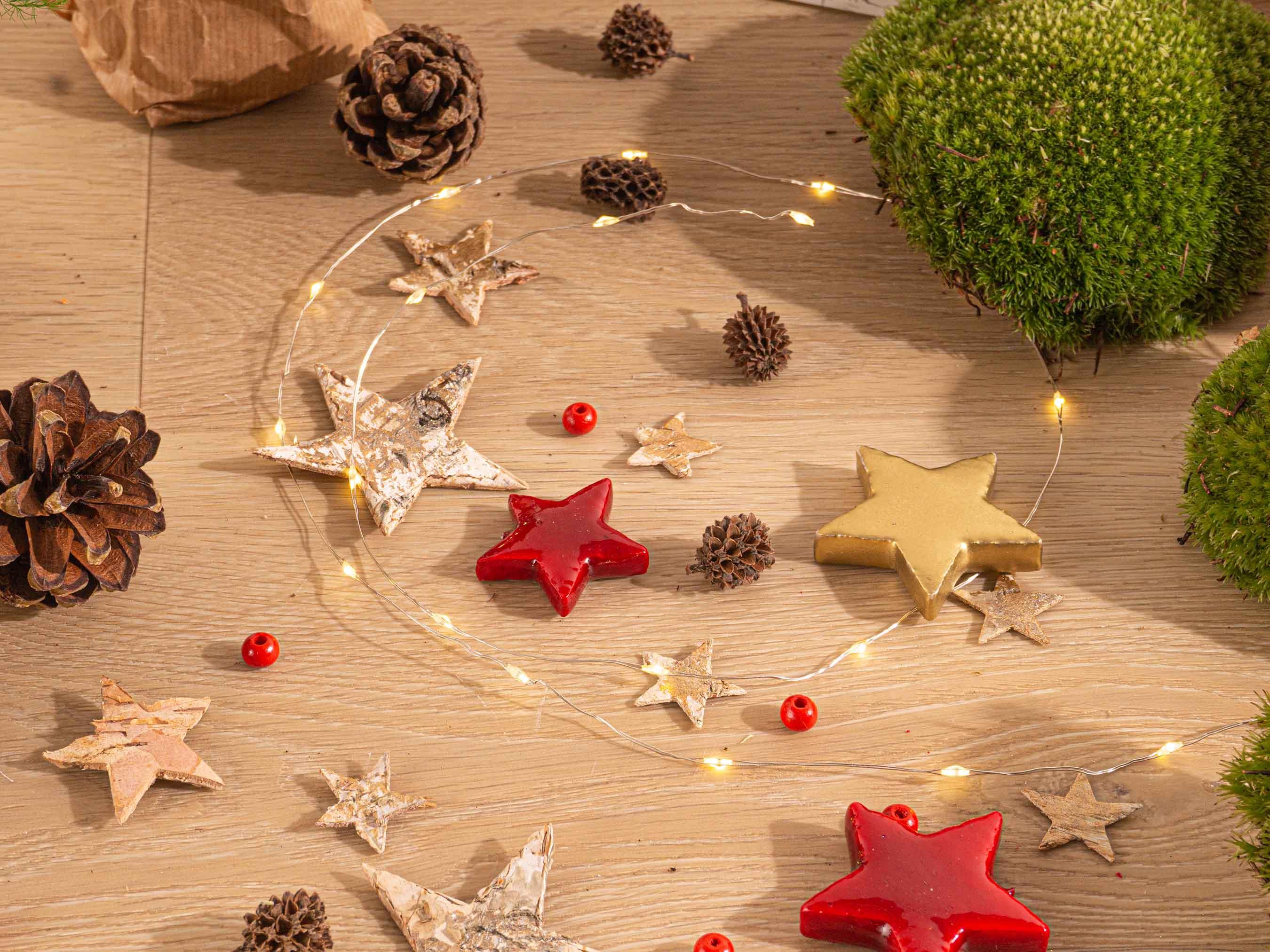 Bolder Bob Bonsai Christmas - DIY (23488)