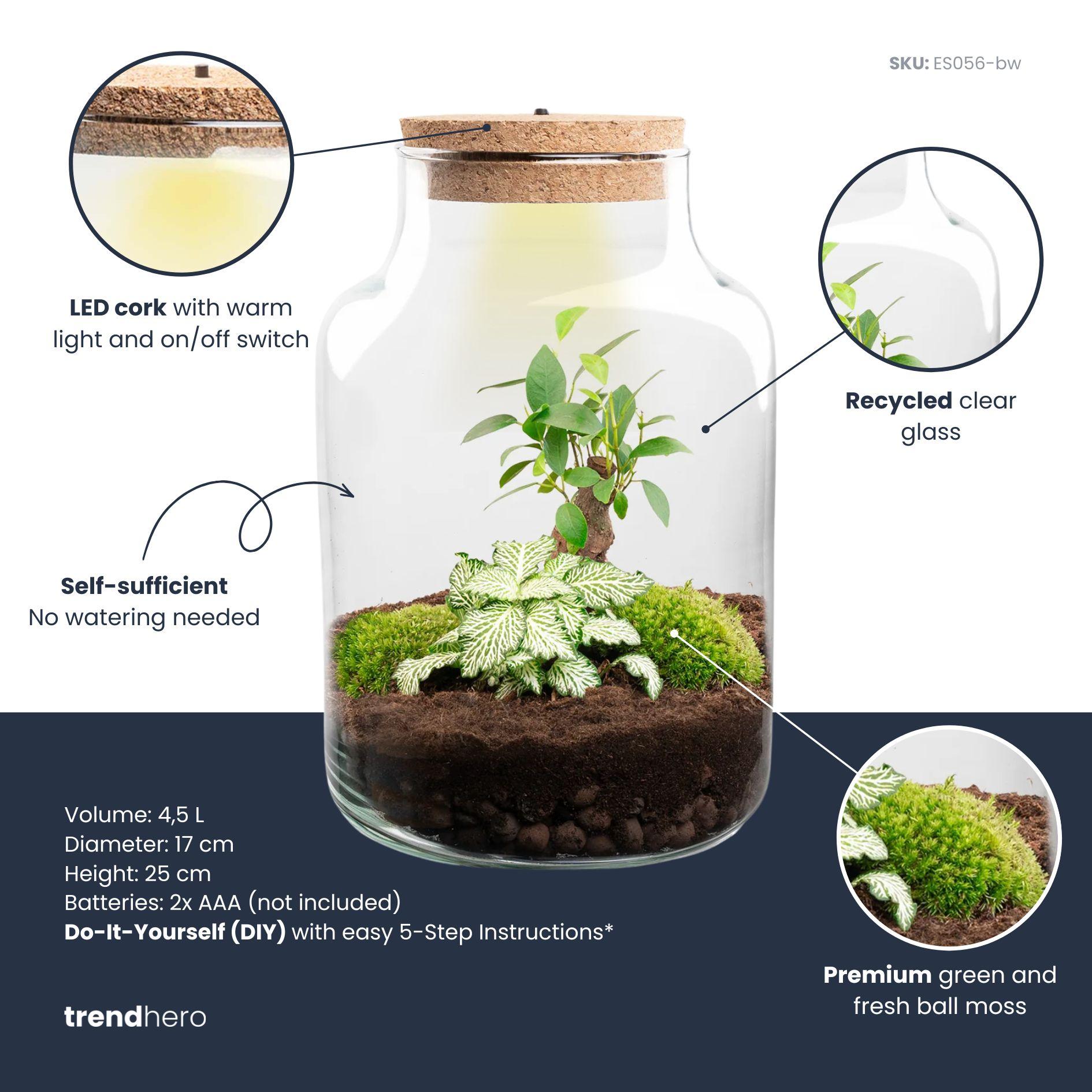 DIY Planten terrarium met licht - Little Milky Bonsai - Ø 17 cm ↑ 25 cm (8720872022253)