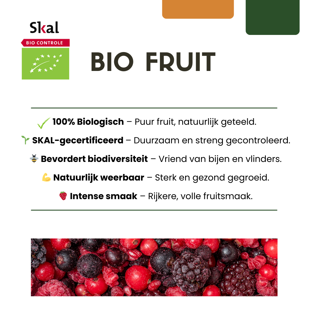 Premium basics "Vruchten oase" BIO Fruitplanten mix set van 5 verschillende soorten (48362)