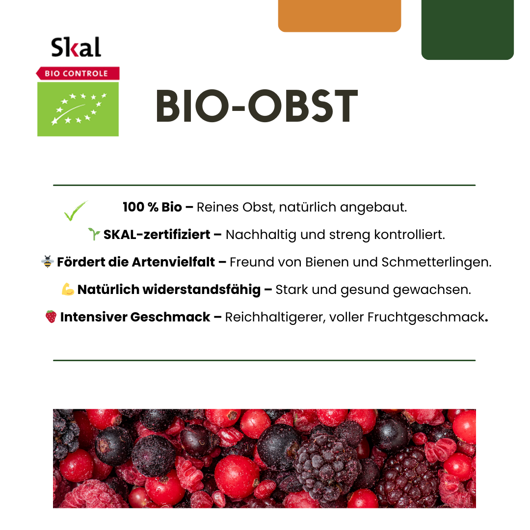 Premium basics "Vruchten oase" BIO Fruitplanten mix set van 5 verschillende soorten (48362)