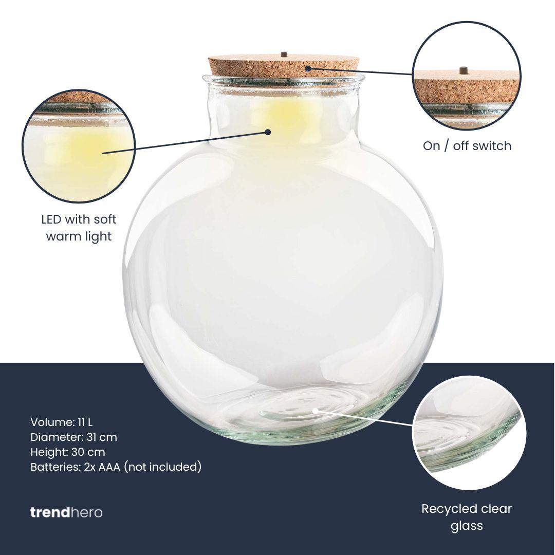 Terrarium fles met (LED) kurk - Bolder Bob - Ø 30 cm ↑ 31 cm - Met LED-kurk (53749)