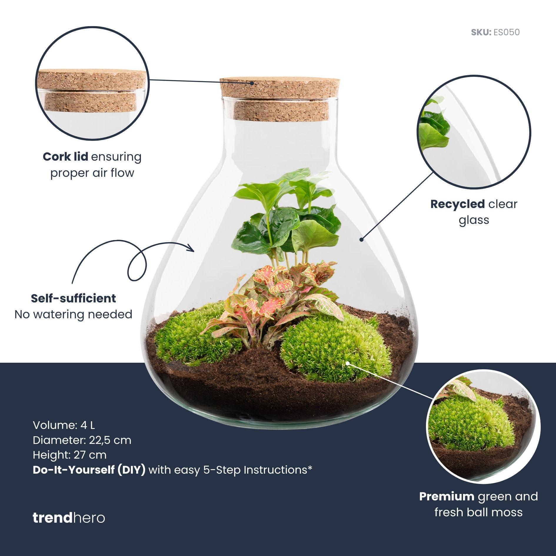 DIY terrarium - Sammie Coffea Red - Ø 22,5 cm ↑ 27 cm - Rake + Shovel + Tweezer (8720872020389)