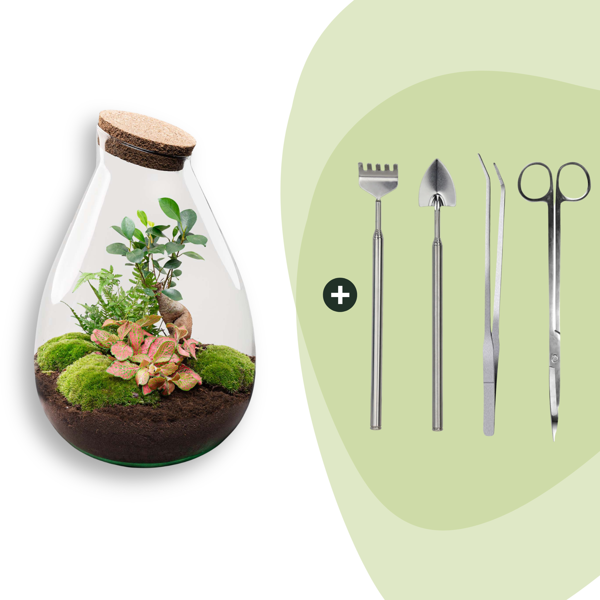DIY Planten terrarium - Drop XL Bonsai 'red' - Ø 24 cm ↑ 37 cm - Rake + Shovel + Tweezer + Scissors (8720726958813)
