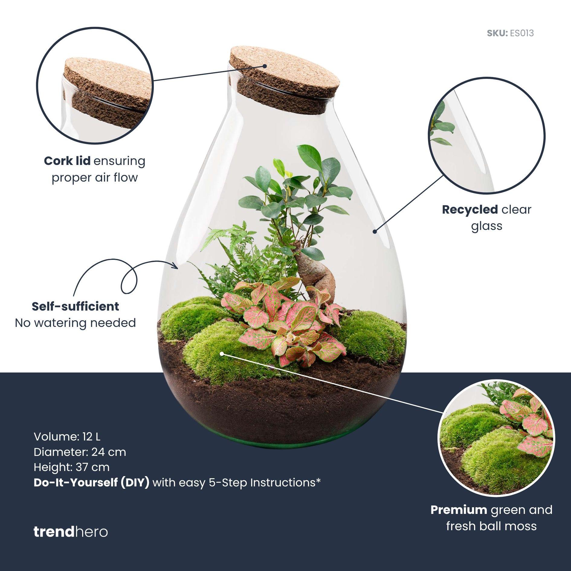 DIY Planten terrarium - Drop XL Bonsai 'red' - Ø 24 cm ↑ 37 cm - Rake + Shovel + Tweezer + Scissors (8720726958813)