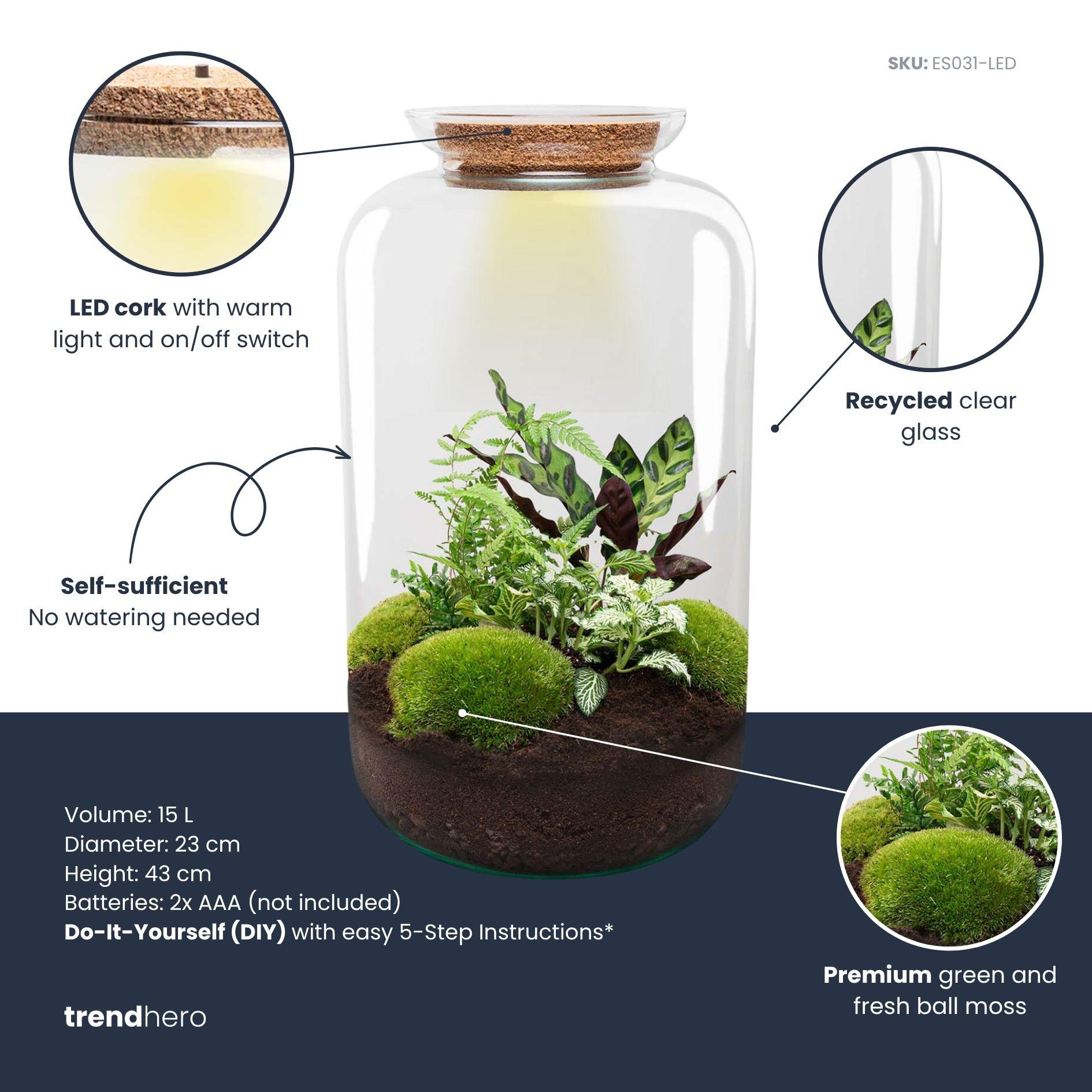 DIY Planten terrarium met licht - Sven XL Botanical - Ø 23 cm ↑ 43 cm - Rake + Shovel (8720872020488)