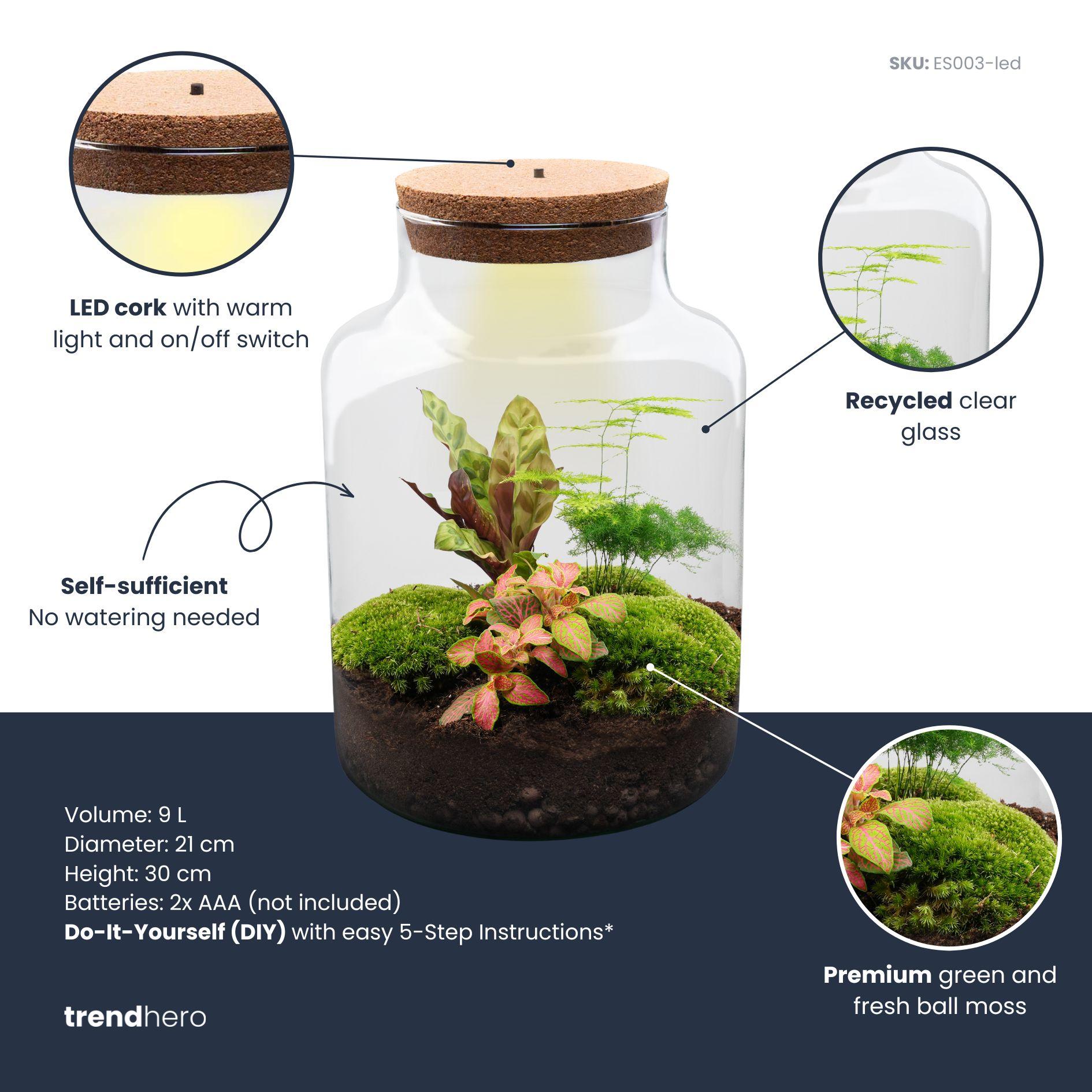 DIY Planten terrarium met licht - Milky - Ø 21 cm ↑ 30 cm - Rake + Shovel + Tweezer (8720726958141)