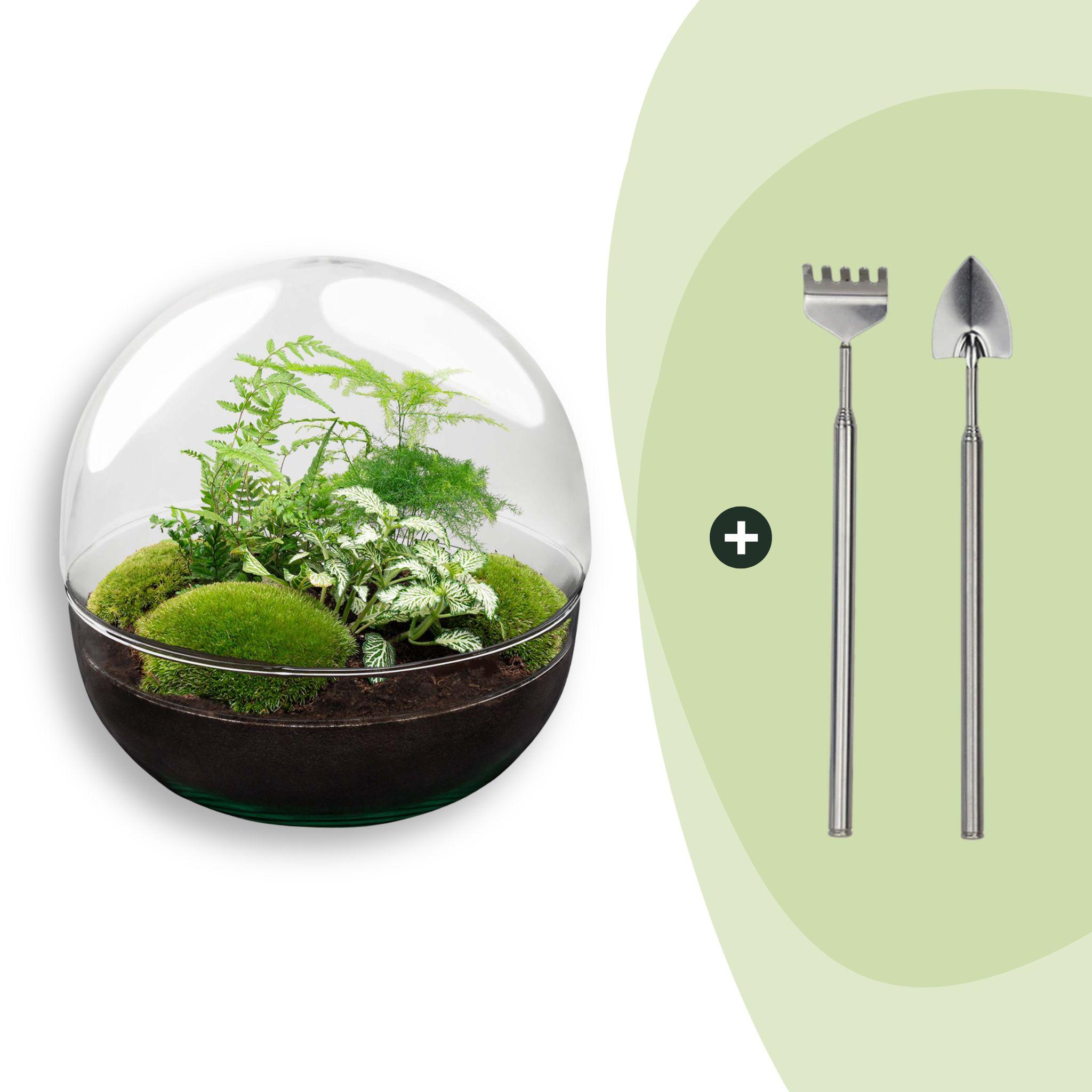 DIY Planten terrarium tweedelig bolglas - Dome XL -Ø 28 cm ↑ 28 cm - Rake + Shovel (8720726958868)