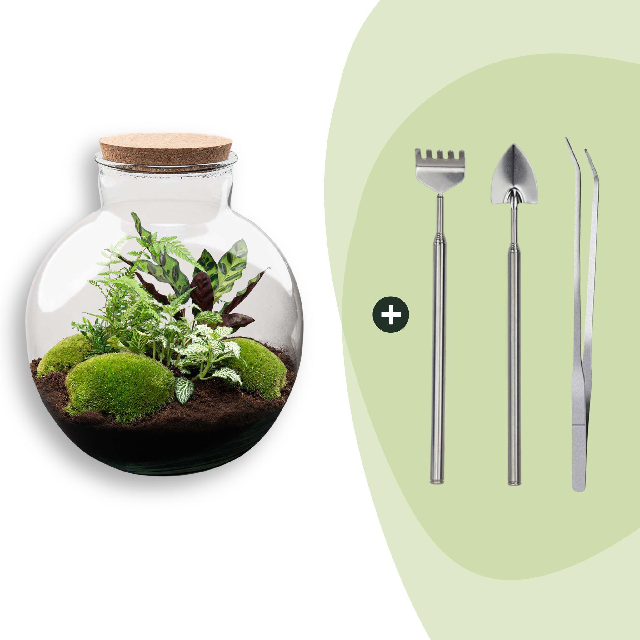 DIY Planten terrarium (met verlichting) - Bolder Bob - Ø 31 cm ↑ 30 cm - Rake + Shovel + Tweezer (8720726958462)