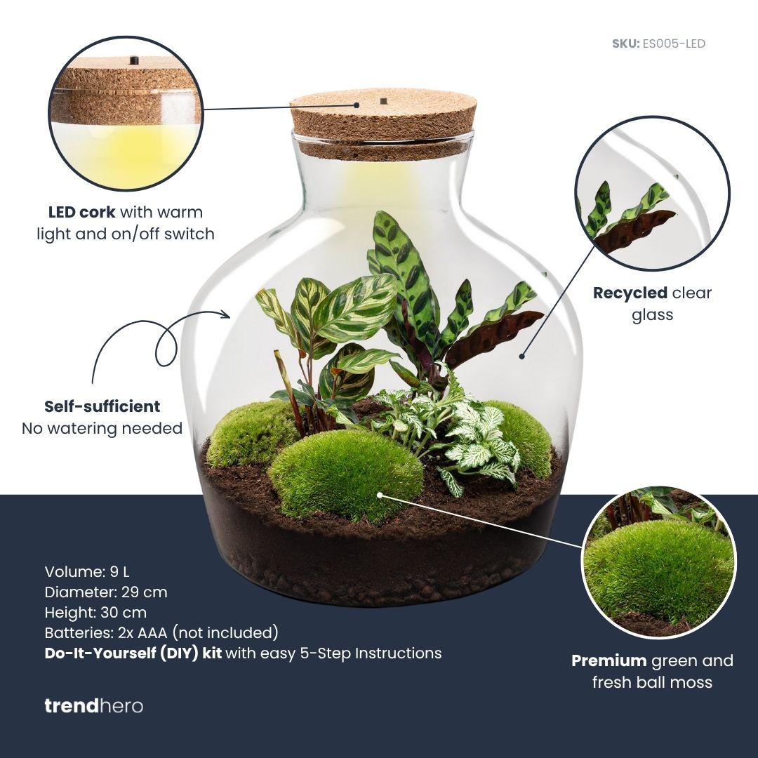 DIY Planten terrarium met licht - Fat Joe - Ø 29 cm ↑ 30 cm - Rake + Shovel (8720726958523)