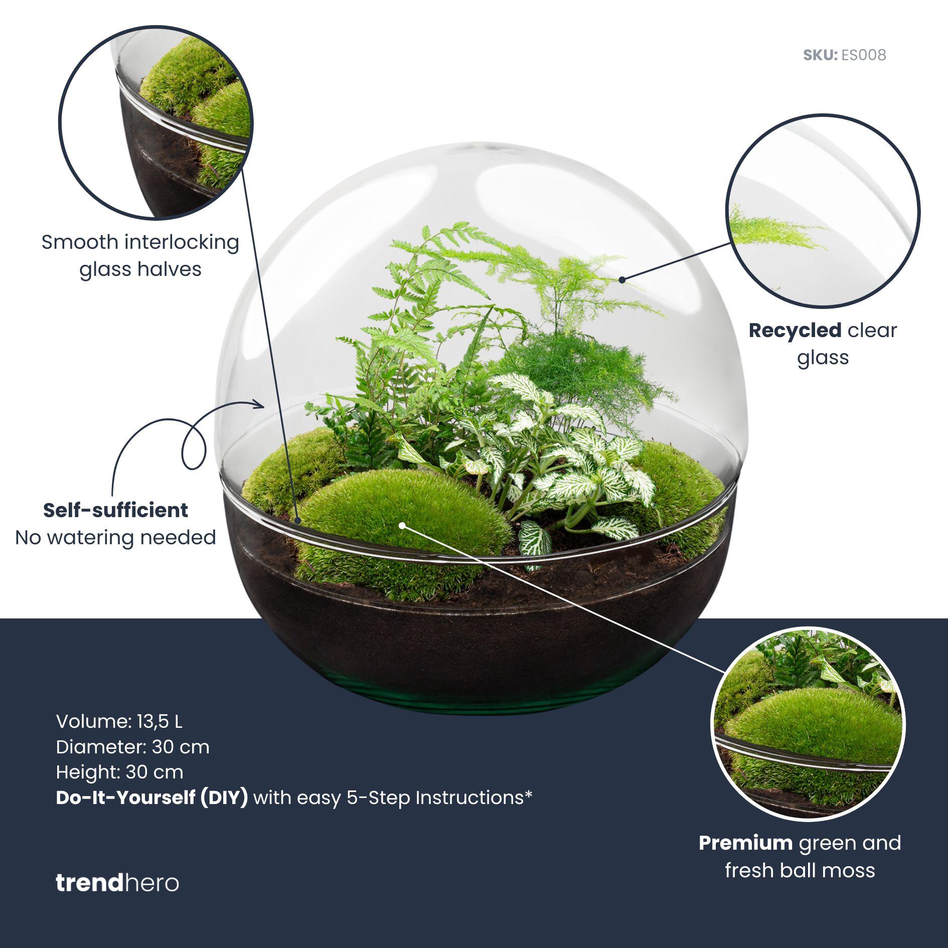 DIY Planten terrarium tweedelig bolglas - Dome XL -Ø 28 cm ↑ 28 cm - Rake + Shovel + Tweezer + Scissors (8720726958882)