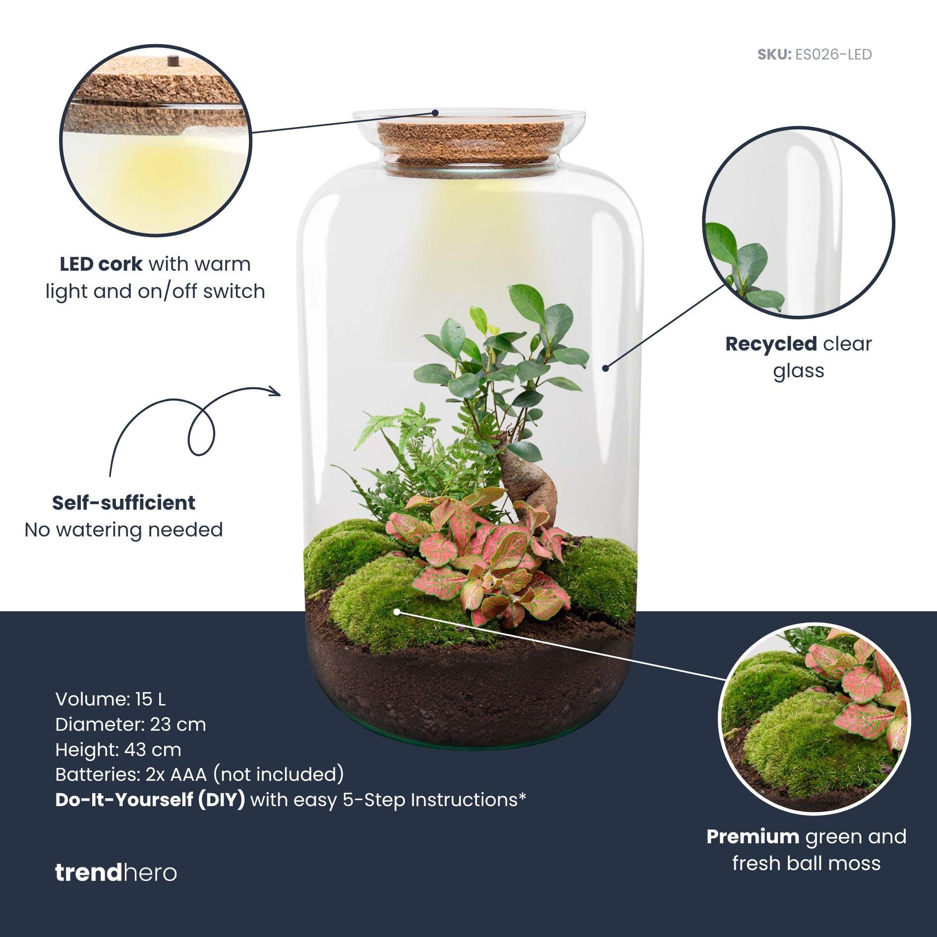 DIY terrarium - Sven XL Bonsai - Met verlichting - Rake + Shovel + Tweezer (8720872020020)