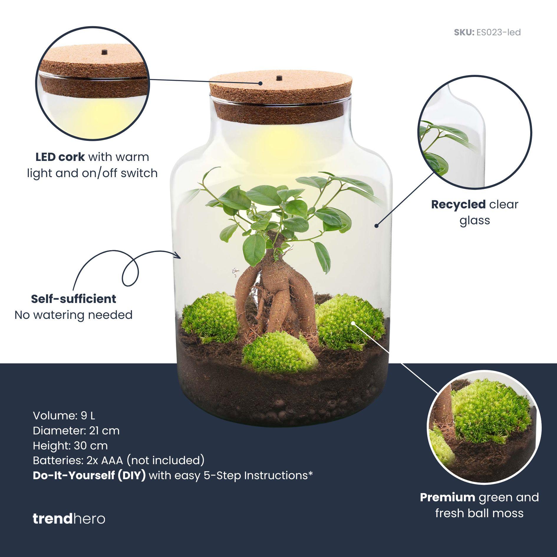 DIY Planten terrarium met licht - Milky Bonsai - Ø 21 cm ↑ 30 cm - Rake + Shovel + Tweezer (8720726958172)