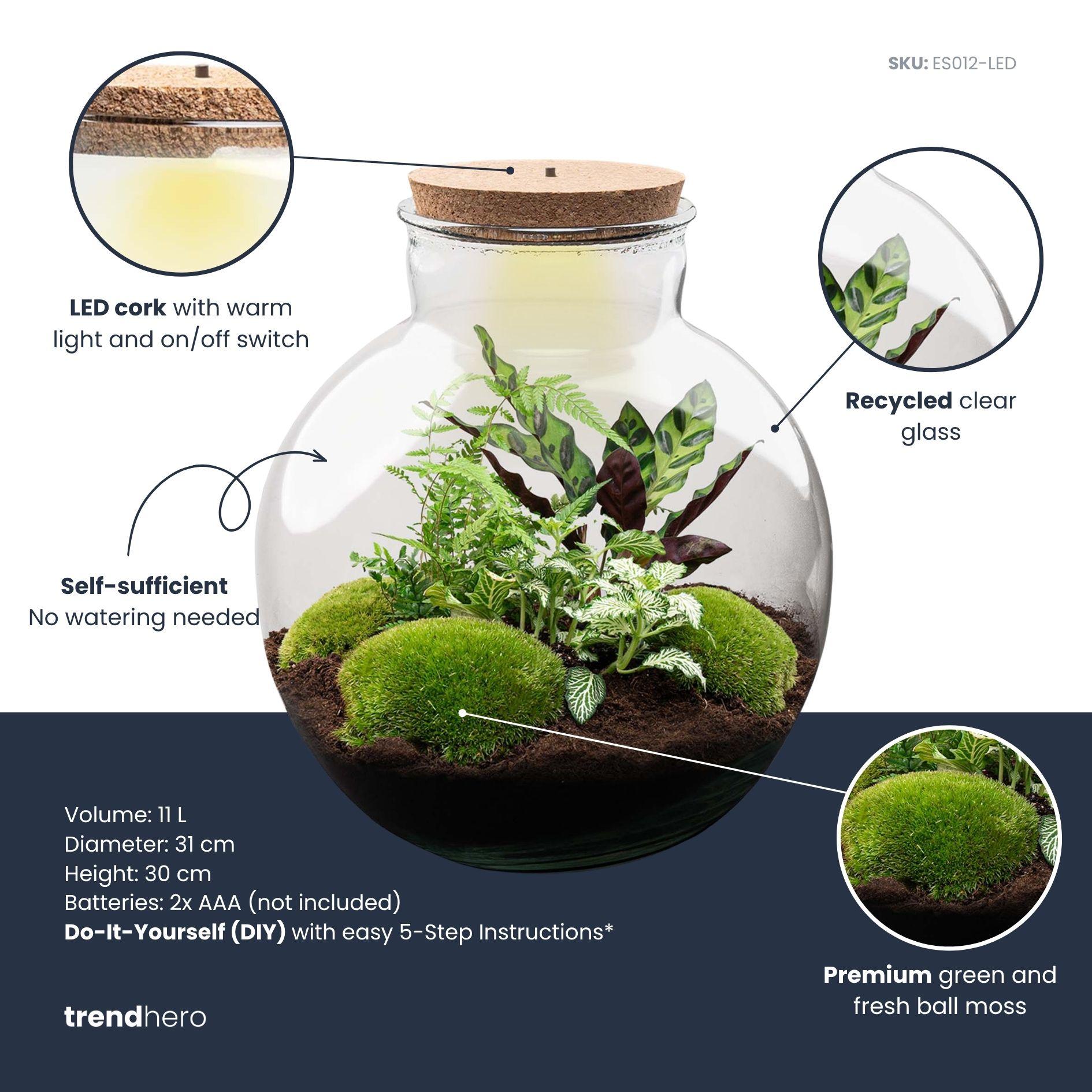 DIY Planten terrarium (met verlichting) - Bolder Bob - Ø 31 cm ↑ 30 cm - Rake + Shovel + Tweezer + Scissors (8720726958479)