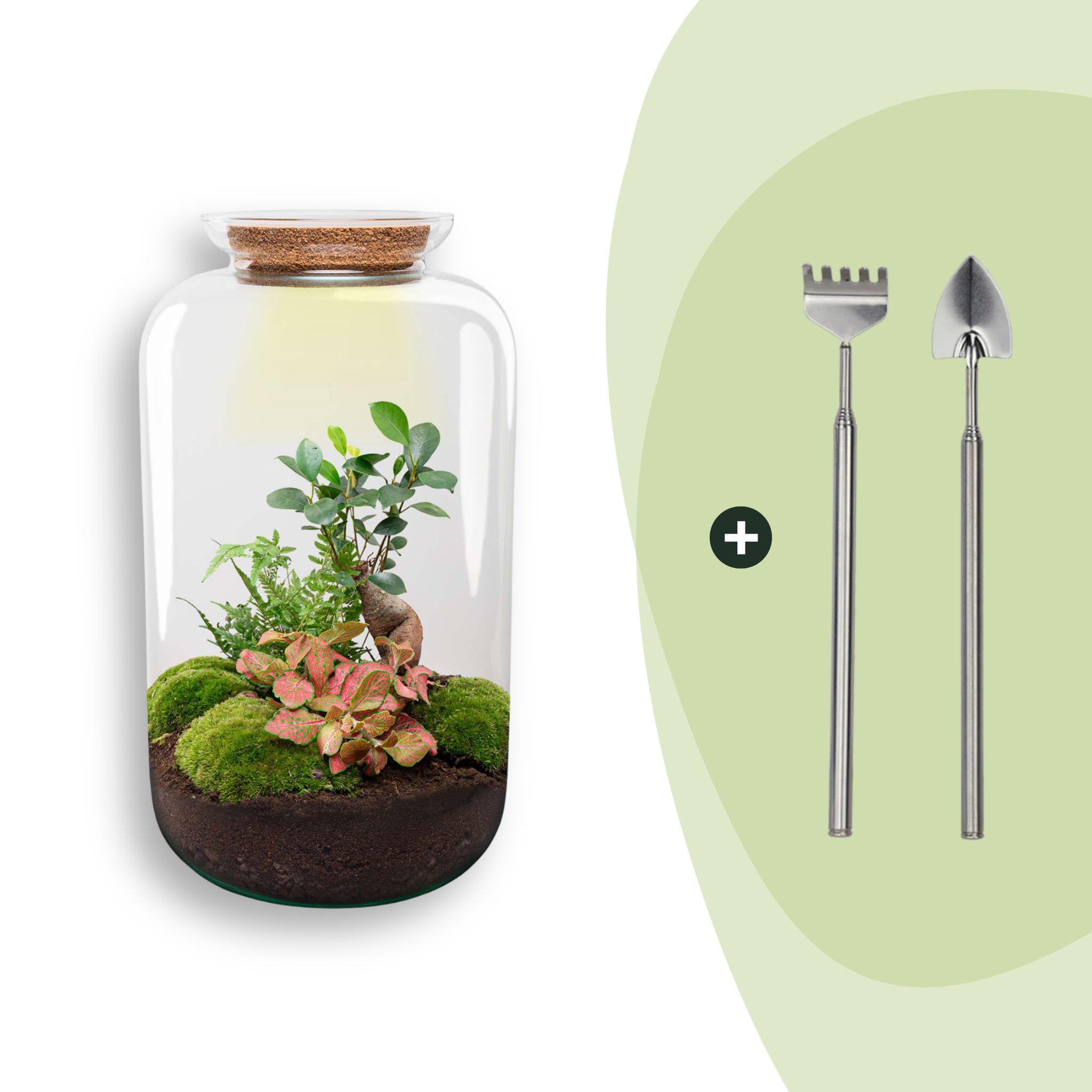 DIY terrarium - Sven XL Bonsai - Met verlichting - Rake + Shovel (8720872020013)