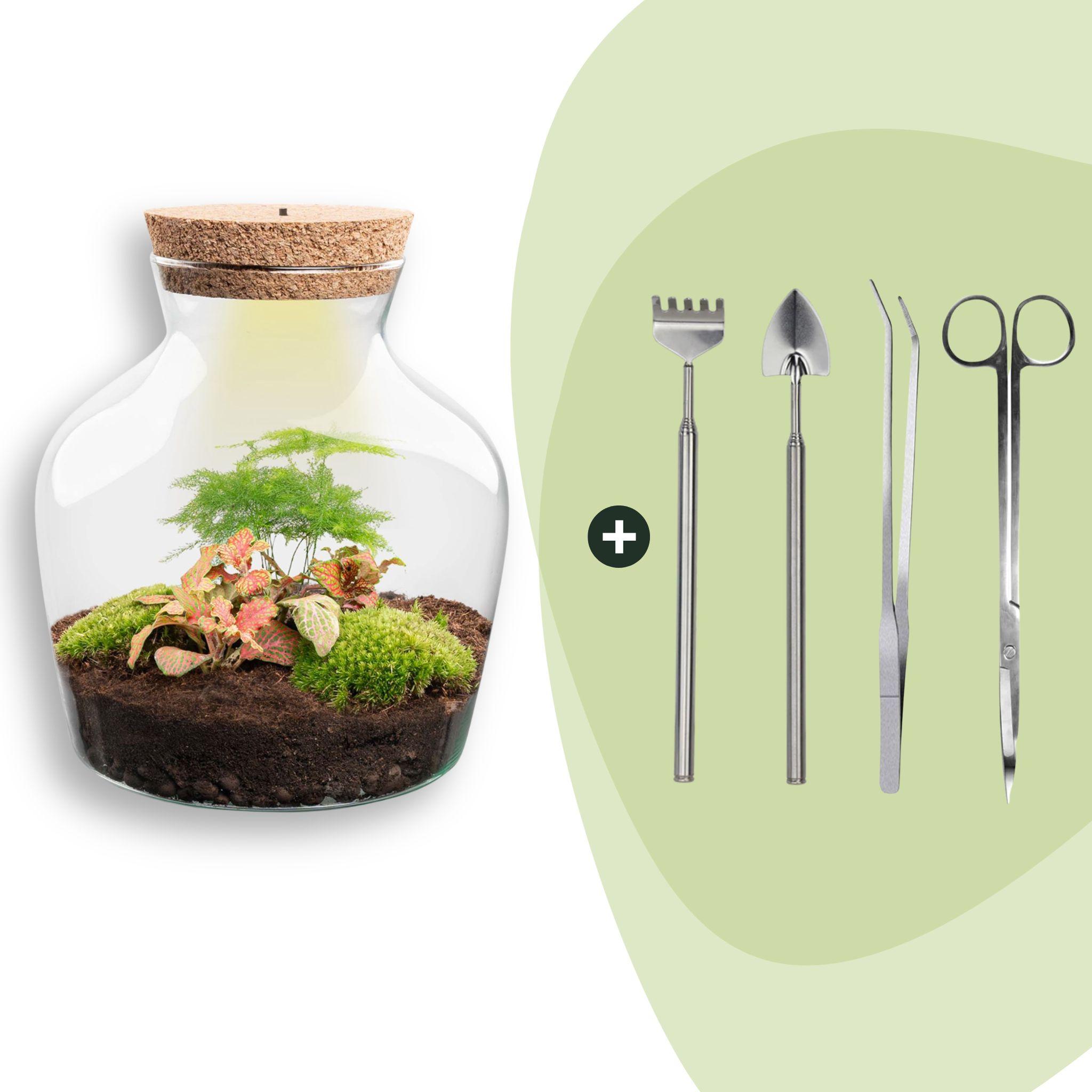 DIY terrarium - Little Joe met licht - ↕ 21,5 cm - Rake + Shovel + Tweezer + Scissors (8720872020099)