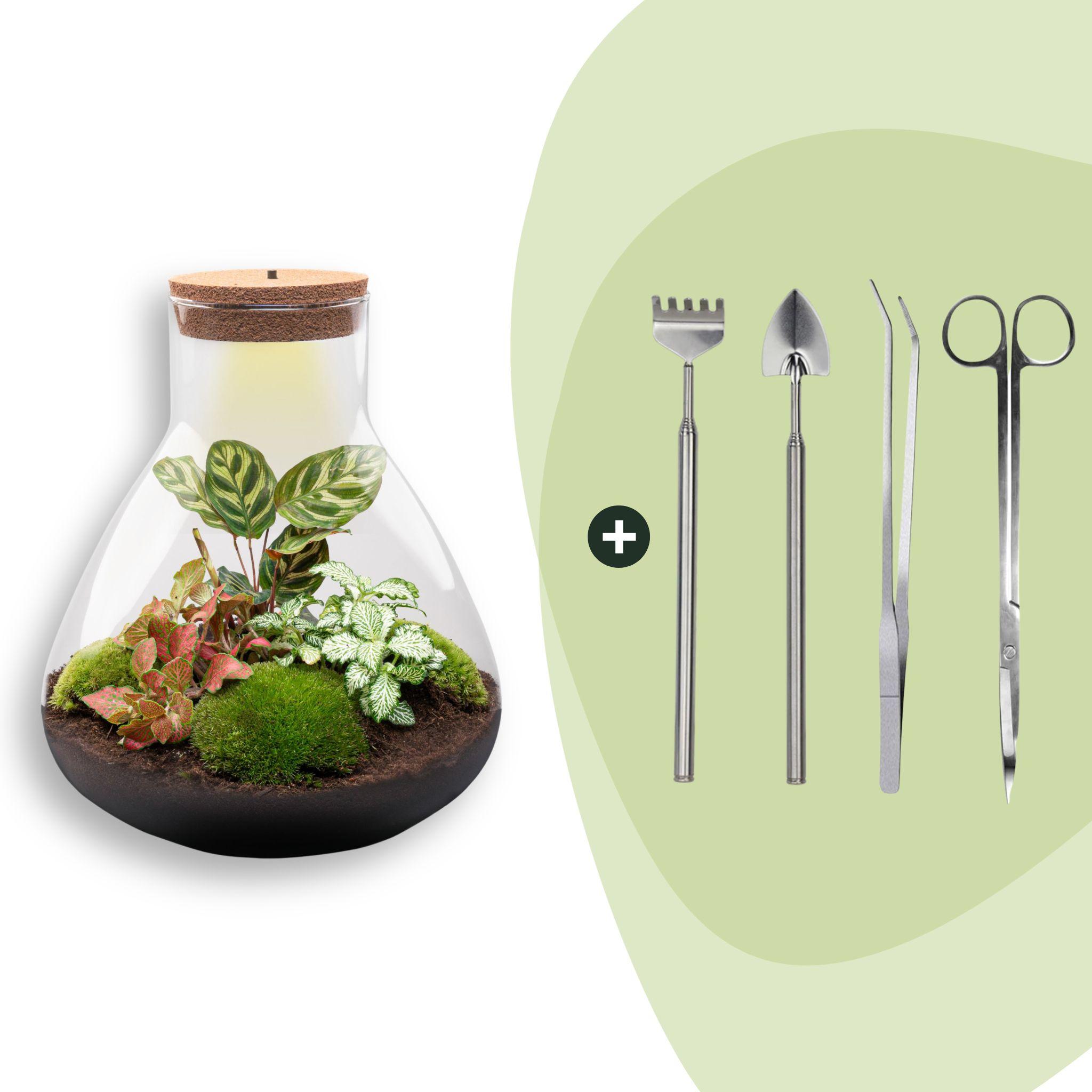 DIY Planten terrarium met licht - Sam XL Red - Ø 30 cm ↑ 32 cm - Rake + Shovel + Tweezer + Scissors (8720726958127)