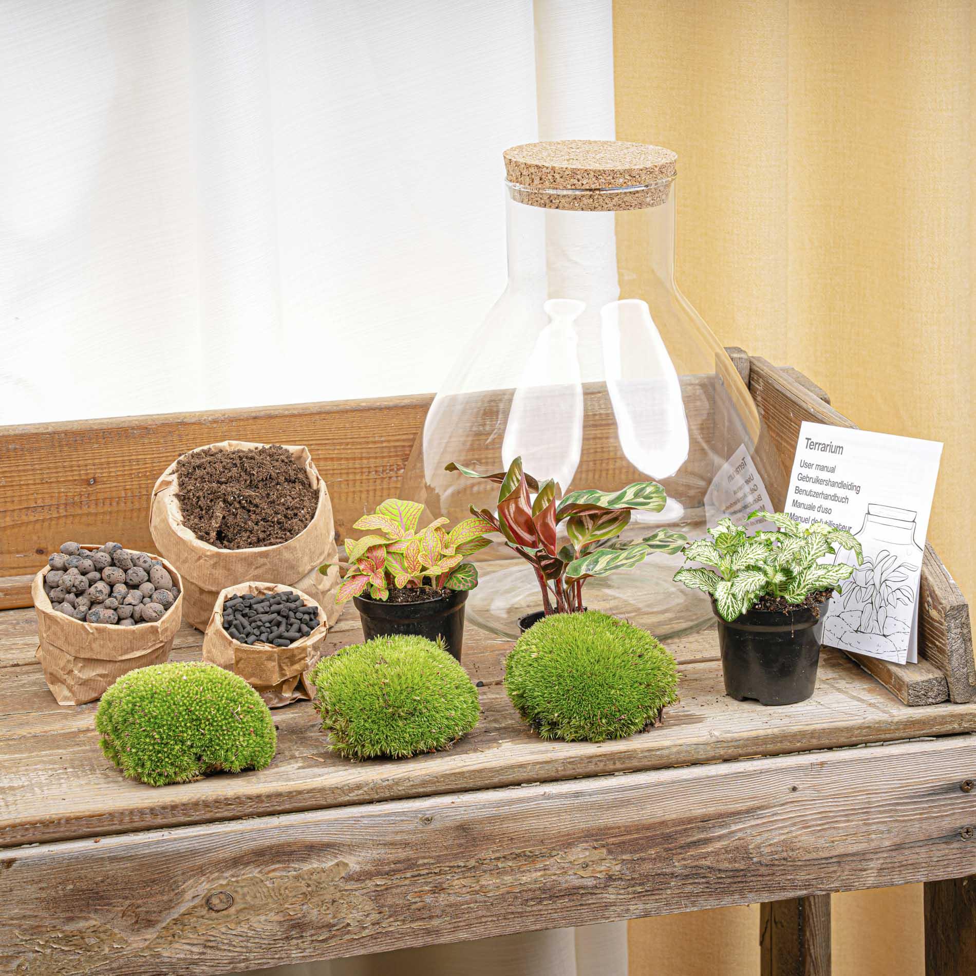 DIY Planten terrarium met licht - Sam XL Red - Ø 30 cm ↑ 32 cm - Rake + Shovel + Tweezer + Scissors (8720726958127)