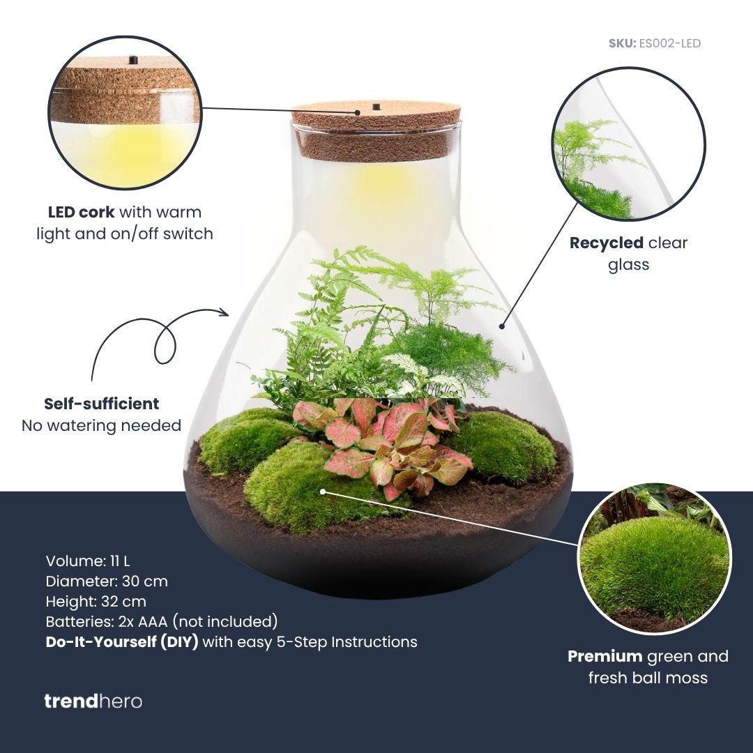 DIY Planten terrarium met licht - Sam XL Red - Ø 30 cm ↑ 32 cm - Rake + Shovel + Tweezer + Scissors (8720726958127)