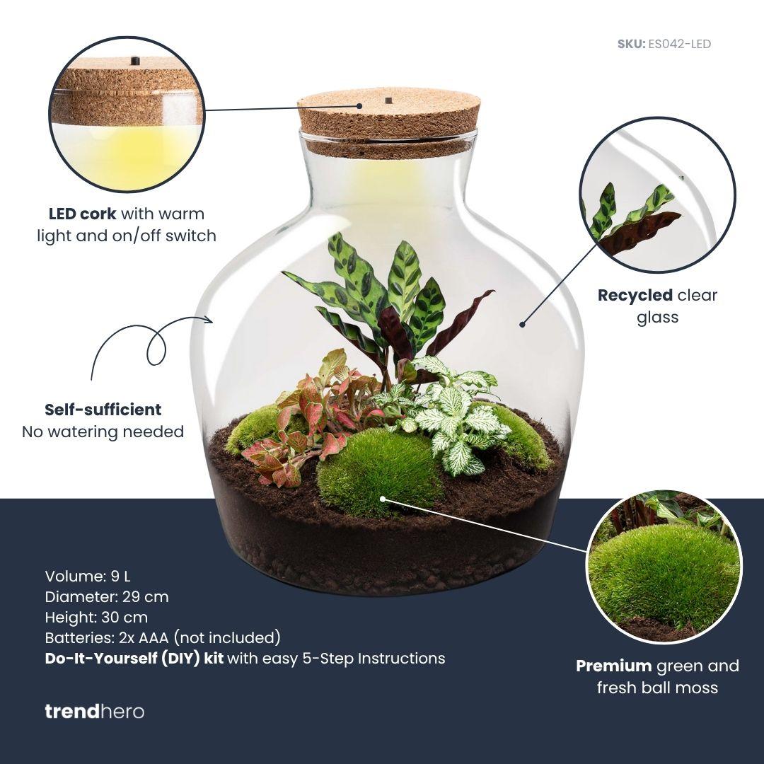 DIY Planten terrarium met licht - Fat Joe Red - Ø 29 cm ↑ 30 cm - Rake + Shovel (8720726958608)