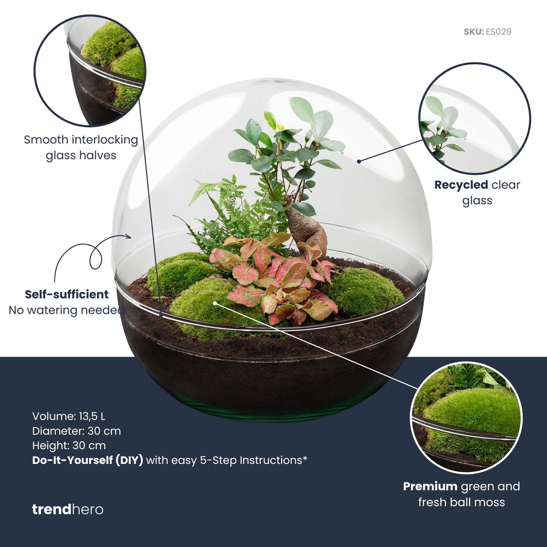 DIY Planten terrarium tweedelig bolglas - Dome XL Bonsai - Ø 28 cm ↑ 28 cm - Rake + Shovel (8720726958899)