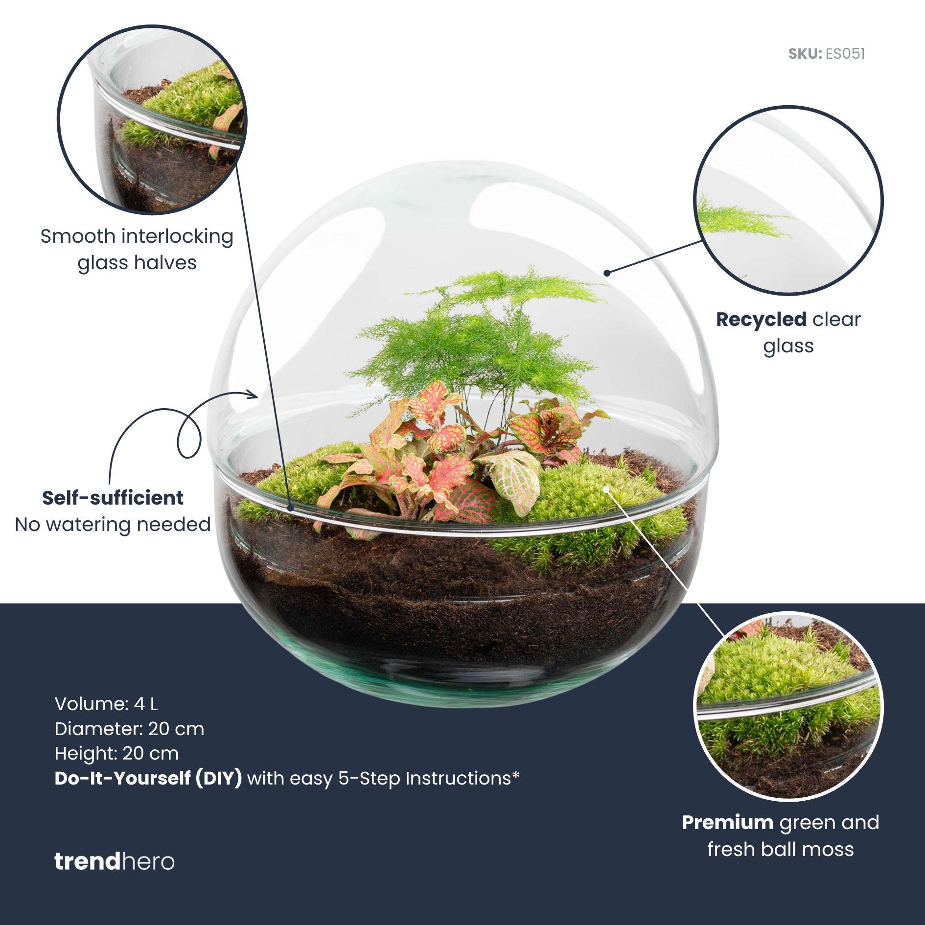 DIY Planten terrarium tweedelig bolglas - Dome Red - Ø 20 cm ↑ 20 cm - Rake + Shovel + Tweezer (8720726958776)