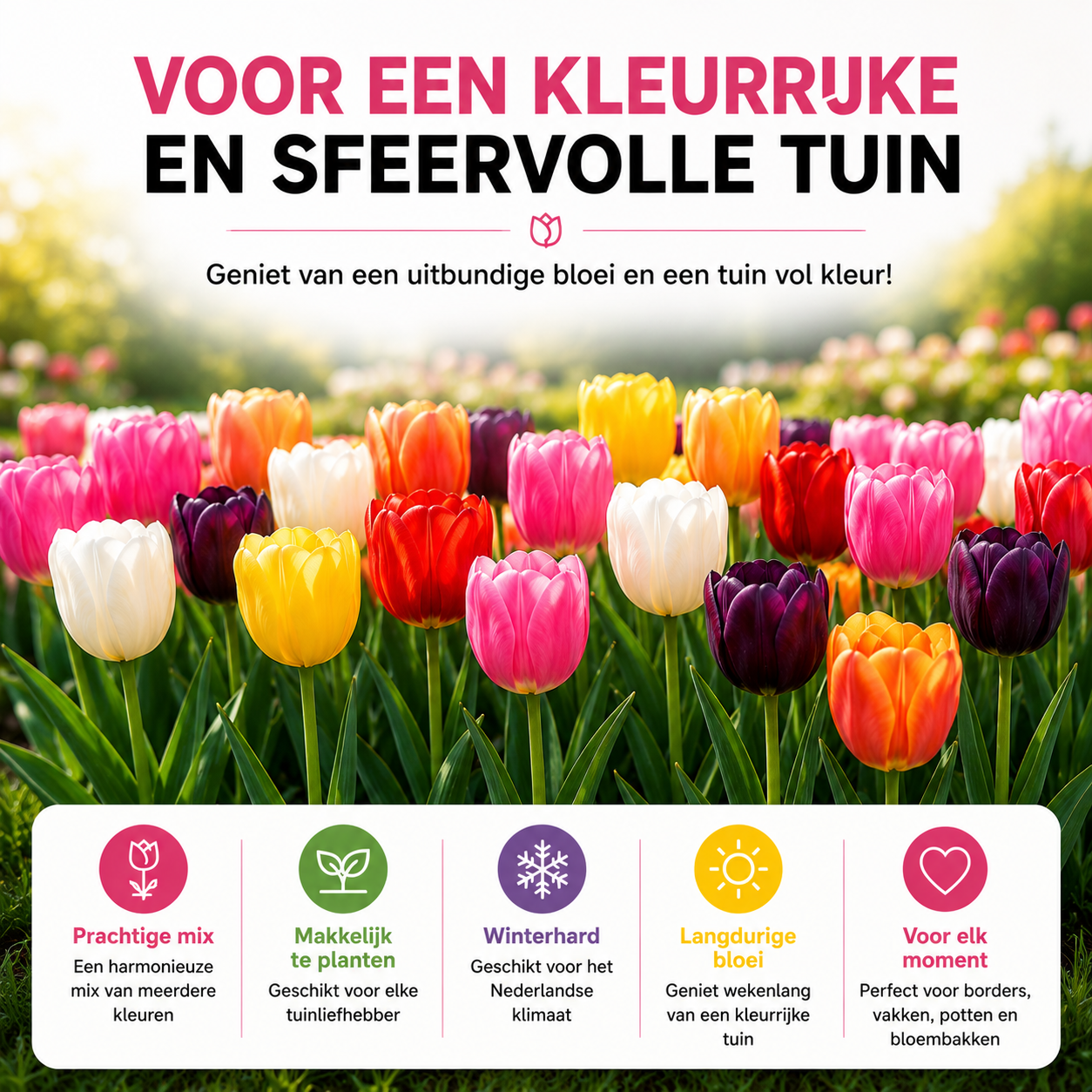 Kh bloembollen 10 zakjes tulpenbollen Mix - 20 Stuks - Winterhard - Maat 11/12 (51455)