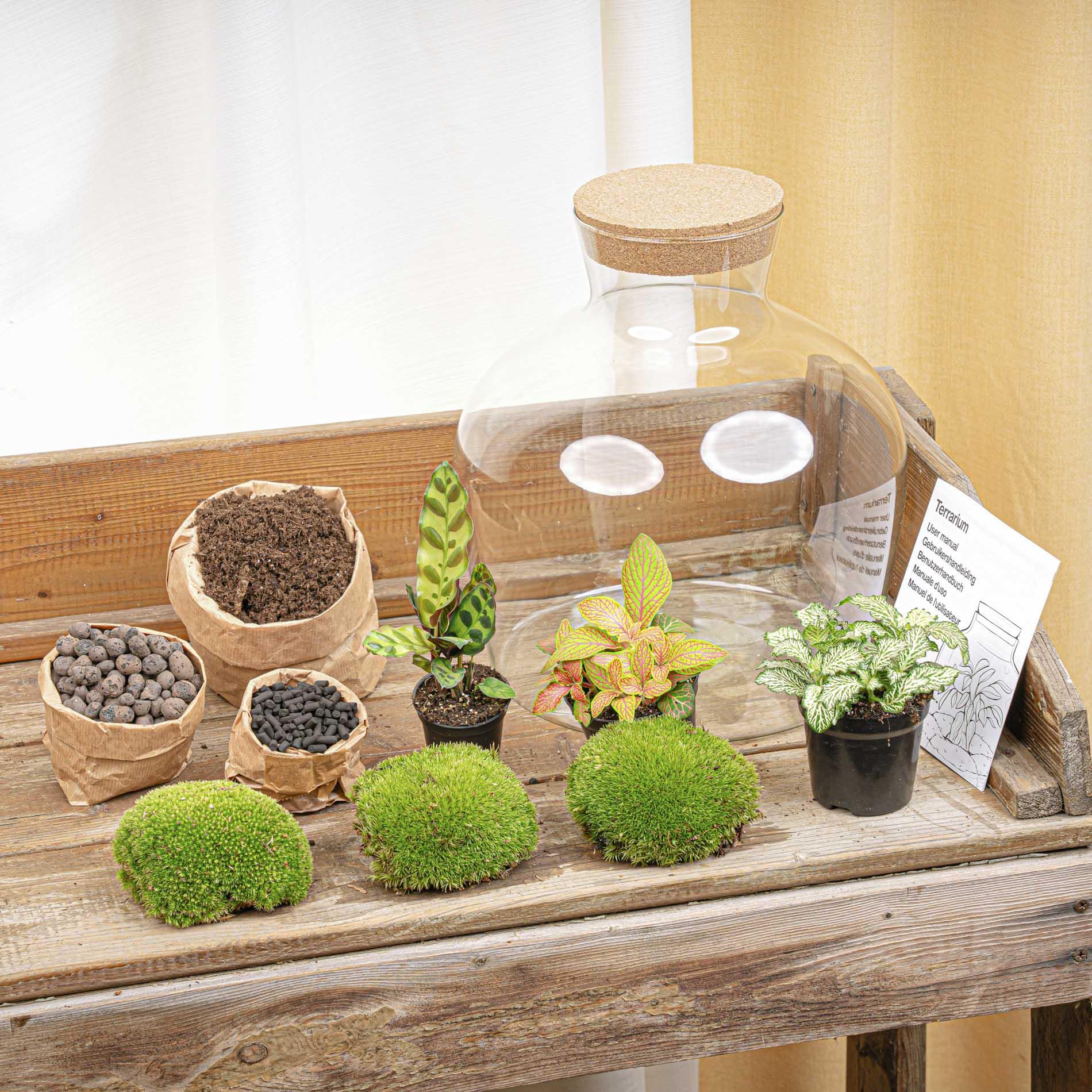 DIY Planten terrarium met licht - Fat Joe Red - Ø 29 cm ↑ 30 cm - Rake + Shovel + Tweezer + Scissors (8720726958622)