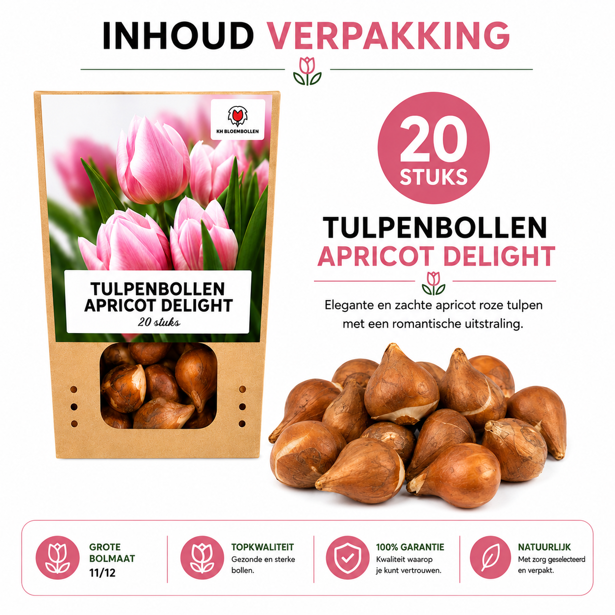 Tulpenbollen Apricot Delight – 20 Stuks | KH Bloembollen® | Roze Apricot Tulp – Zacht & Fris – Cadeau voor Tuin of Pot – Maat 11/12 – Vers (51146)