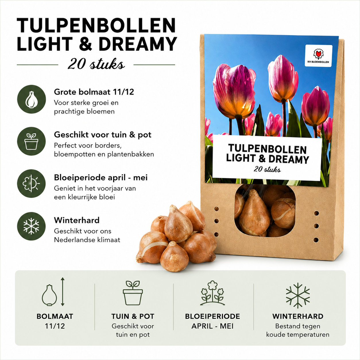 Tulpenbollen Light and Dreamy – 20 Stuks | KH Bloembollen® | Prachtige Pastelkleuren – Voor Tuin of Pot – Maat 11/12 – Vers van de Teler! (51166)