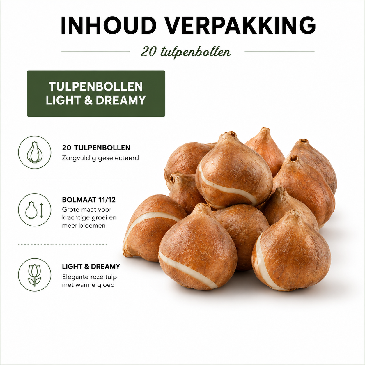 Tulpenbollen Light and Dreamy – 20 Stuks | KH Bloembollen® | Prachtige Pastelkleuren – Voor Tuin of Pot – Maat 11/12 – Vers van de Teler! (51166)