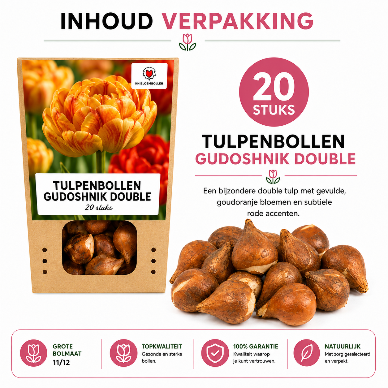 Tulpenbollen Gudoshnik Double – 20 Stuks | KH Bloembollen® | Geel, Oranje & Rode Dubbelbloemige Tulp – Pioenachtig & Kleurrijk – Voor Tuin of  (51158)