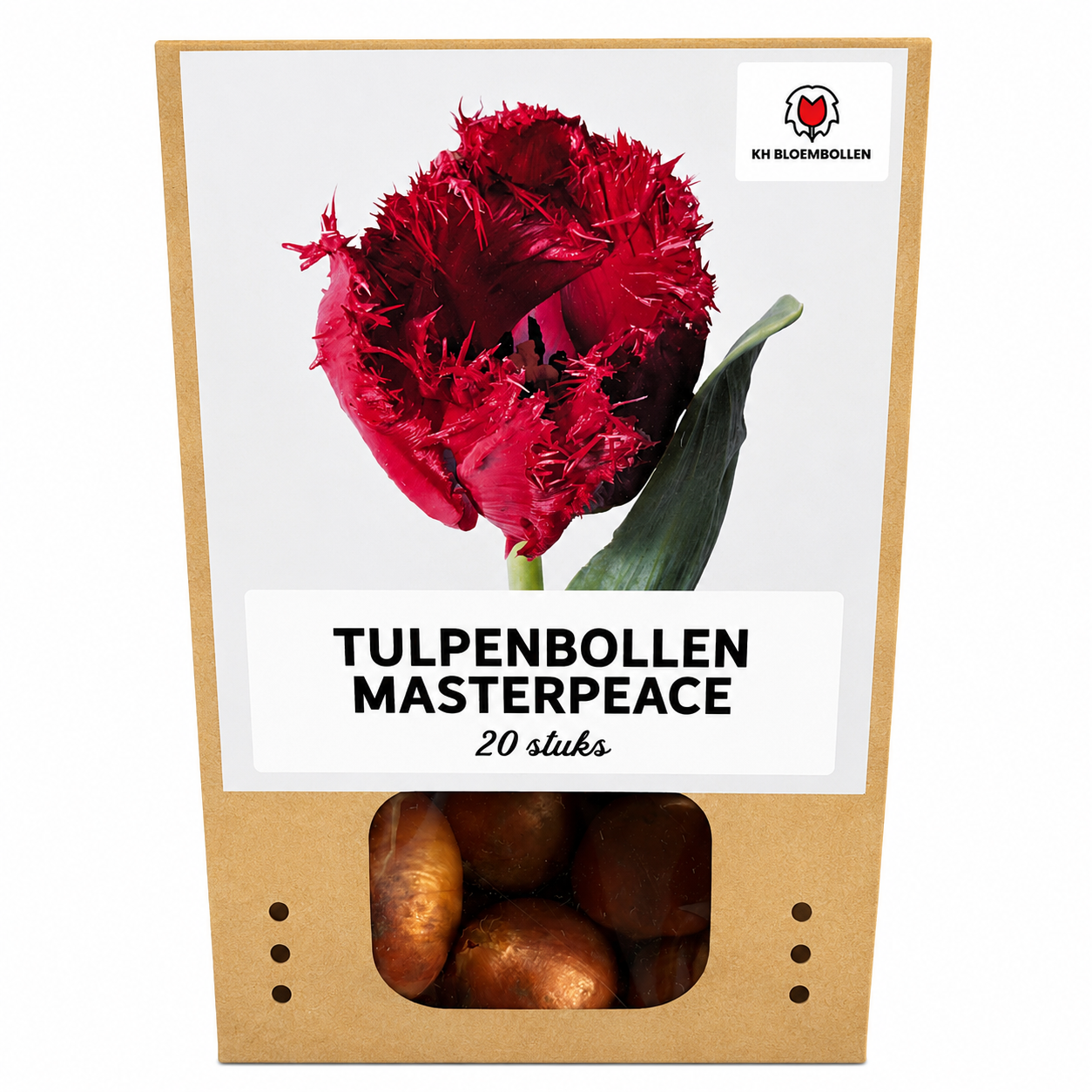 Tulpenbollen Masterpeace – 20 Stuks | KH Bloembollen® | Rode Tulp met Kartelrand – Stoer & Uniek – Voor Tuin of Pot – Maat 11/12 – Vers va (51168)