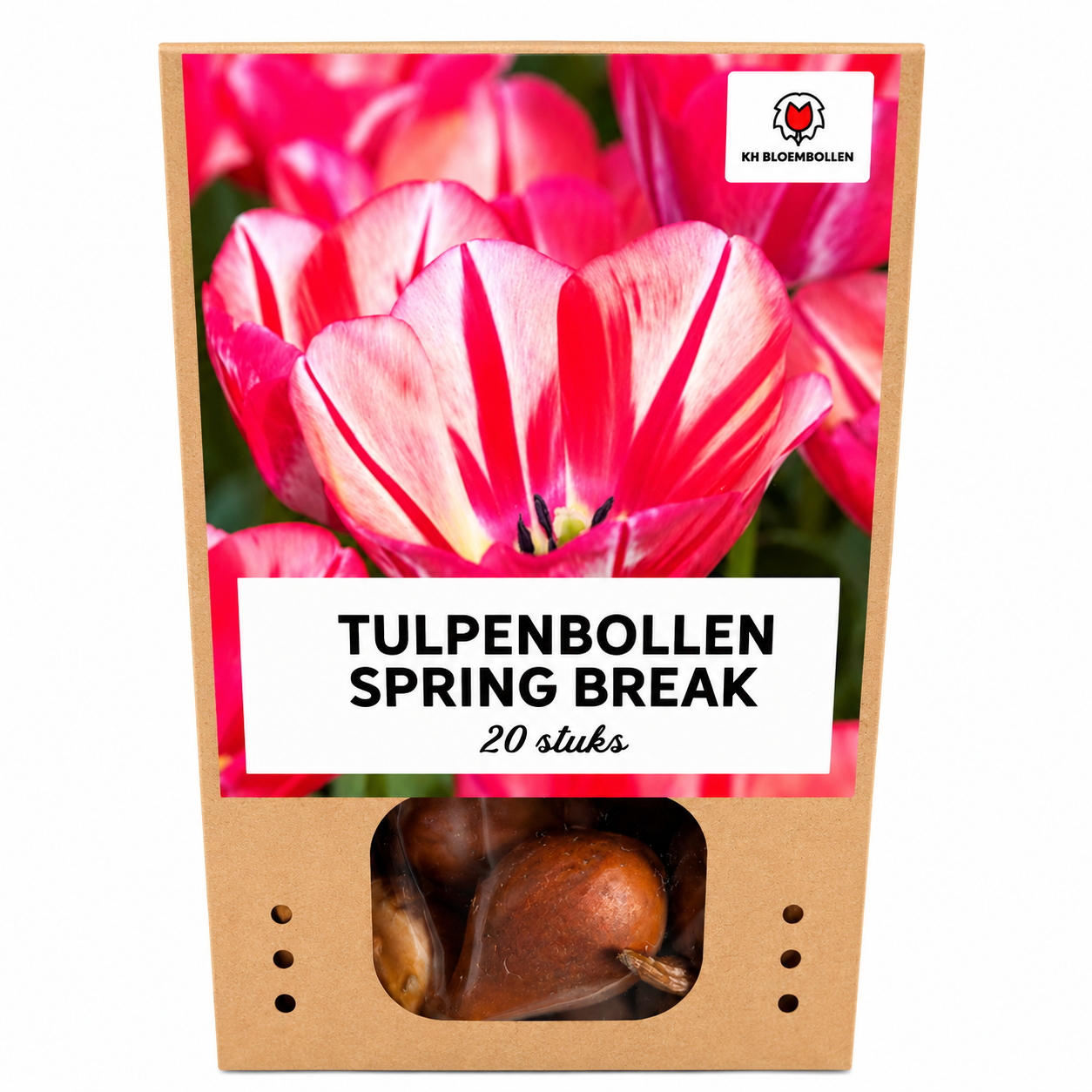 Tulpenbollen Spring Break – 20 Stuks | KH Bloembollen® | Rood-Oranje Tulp – Vurig, Energiek & Opvallend – Voor Tuin of Pot – Maat 11/12 –  (51176)