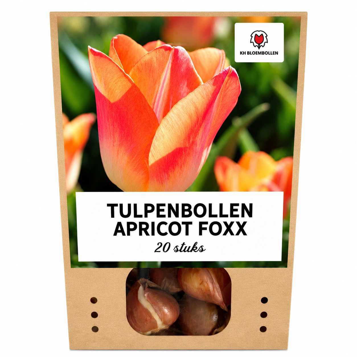 Tulpenbollen Apricot Foxx – 20 Stuks | KH Bloembollen® | Zalmroze Tulp – Elegant & Grootbloemig – Voor Tuin of Pot – Maat 11/12 – Vers van (51148)