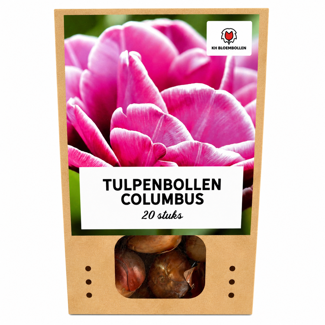 Tulpenbollen Columbus – 20 Stuks | KH Bloembollen® | Roze-Witte Dubbele Pioentulp – Elegant & Vol – Voor Tuin of Pot – Maat 11/12 – Vers v (51142)
