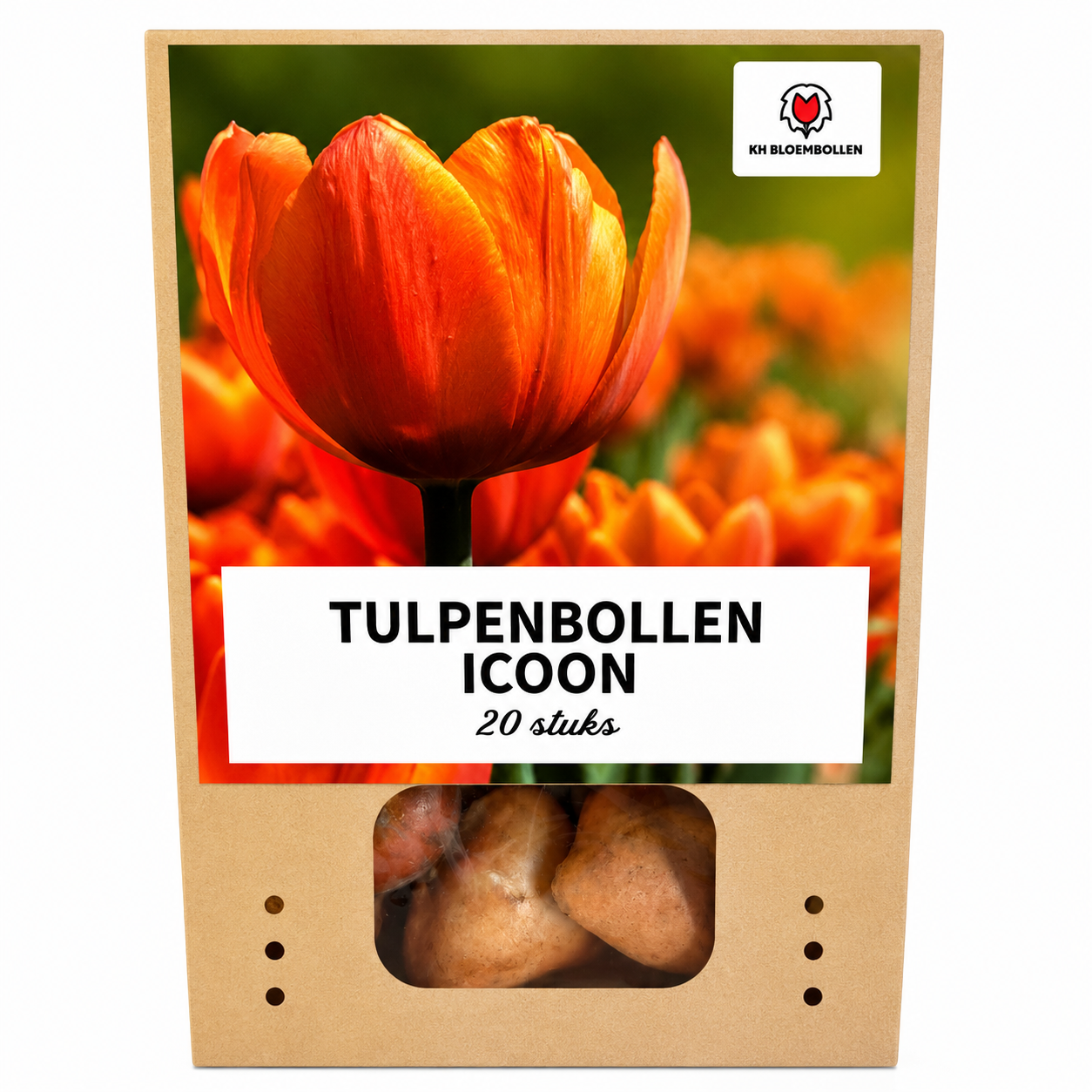 Tulpenbollen Icoon – 20 Stuks | KH Bloembollen® | Oranje Dubbelbloemige Tulp – Vol, Warm & Opvallend – Voor Tuin of Pot – Maat 11/12 – Ver (51160)