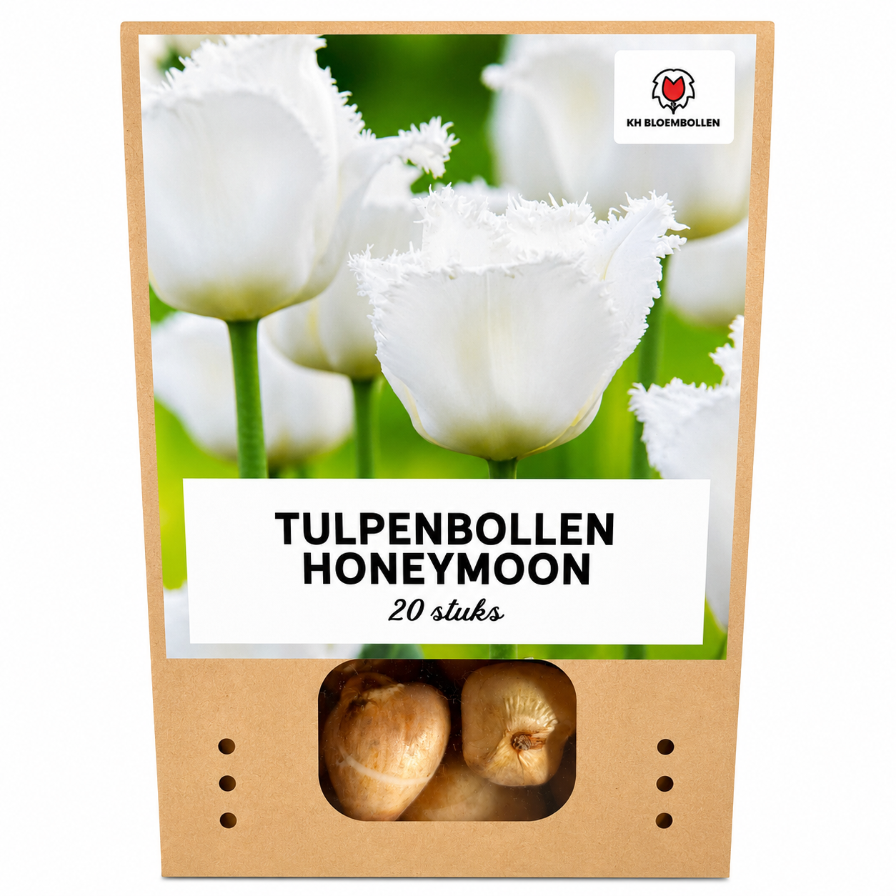 Tulpenbollen Honeymoon – 20 Stuks | KH Bloembollen® | Witte Kartelrand Tulp – Elegant & Uniek – Cadeau voor Tuin of Pot – Maat 11/12 – Ver (51140)