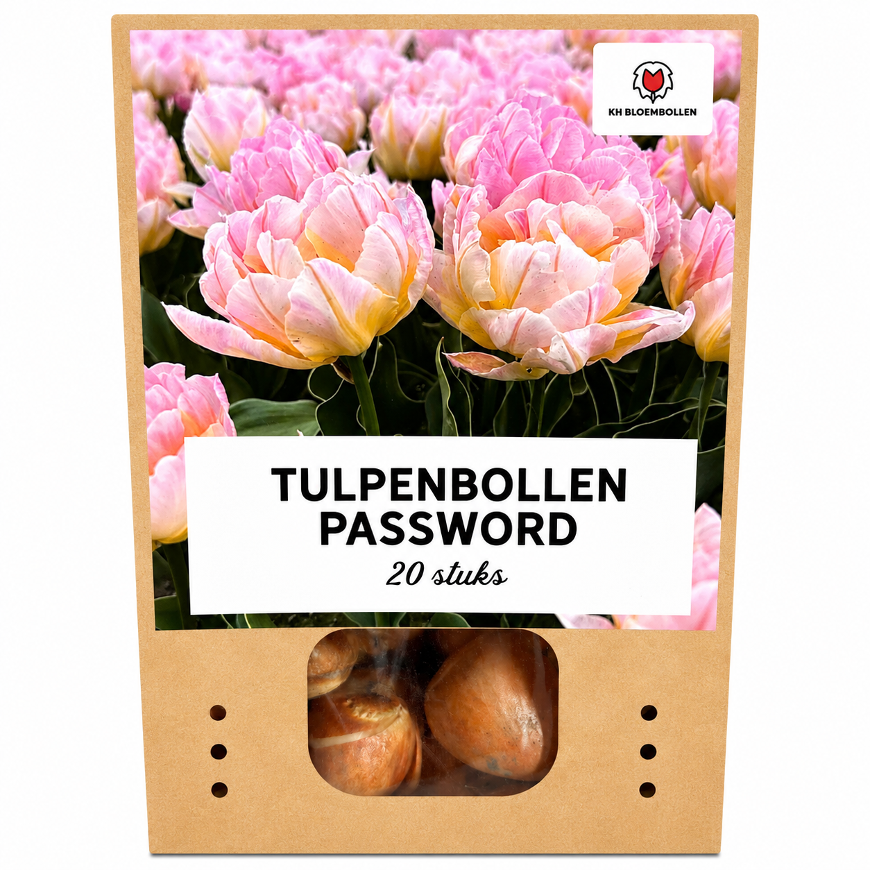 Tulpenbollen Password – 20 Stuks | KH Bloembollen® | Roze Dubbelbloemige Tulp – Vol, Zacht & Romantisch – Voor Tuin of Pot – Maat 11/12 –  (51170)