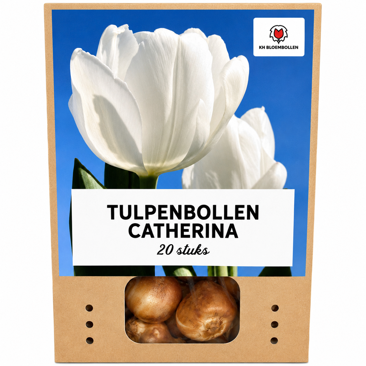 Tulpenbollen Catherina – 20 Stuks | KH Bloembollen® | Zuiver Witte Tulp – Tijdloos & Elegant – Voor Tuin of Pot – Maat 11/12 – Vers van de (51154)