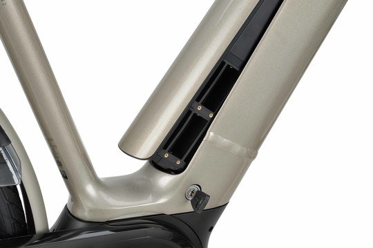 BATAVUS Finez E-Go Power N8, Champagne Goud (8713568497039)