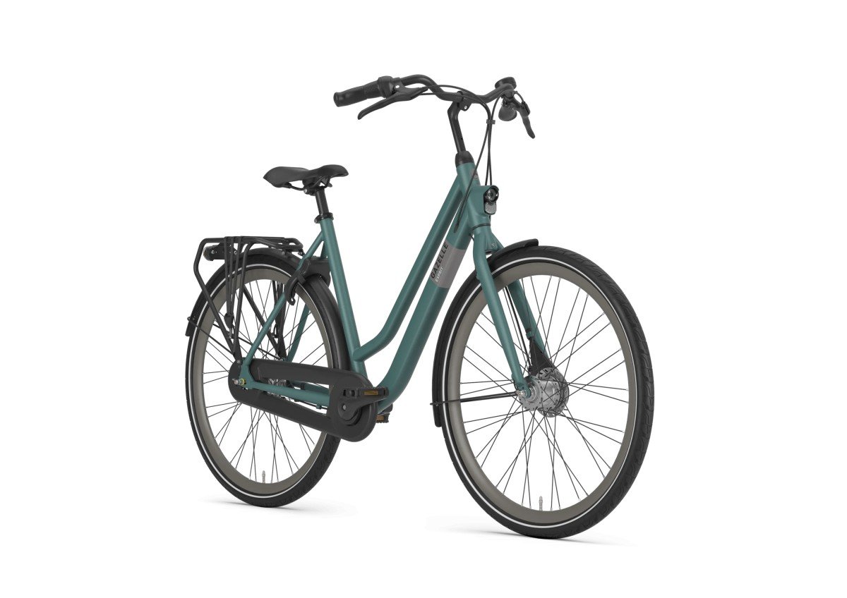 GAZELLE Esprit DAMES Thyme Green Mat 49cm 2025 (8717231368978)
