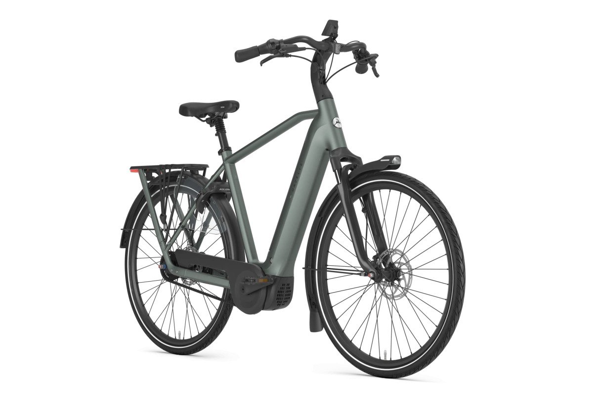 GAZELLE Grenoble C5+ First Edition HEREN Twilight Green Mat 61cm 2027 (8717231376775)