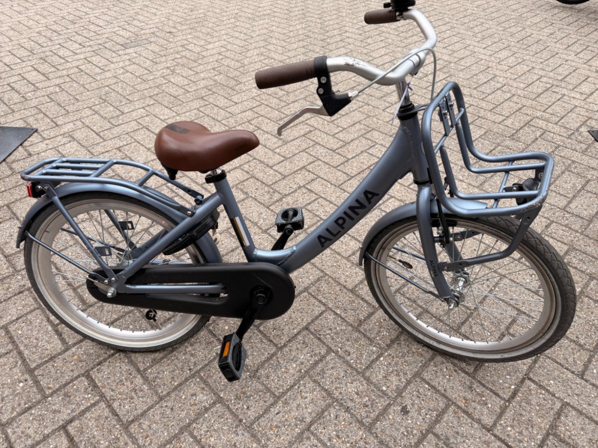 ALPINA Fiets Alpina Clubb M20 Meisjes Grijs 31cm 2023 (8719461049948)