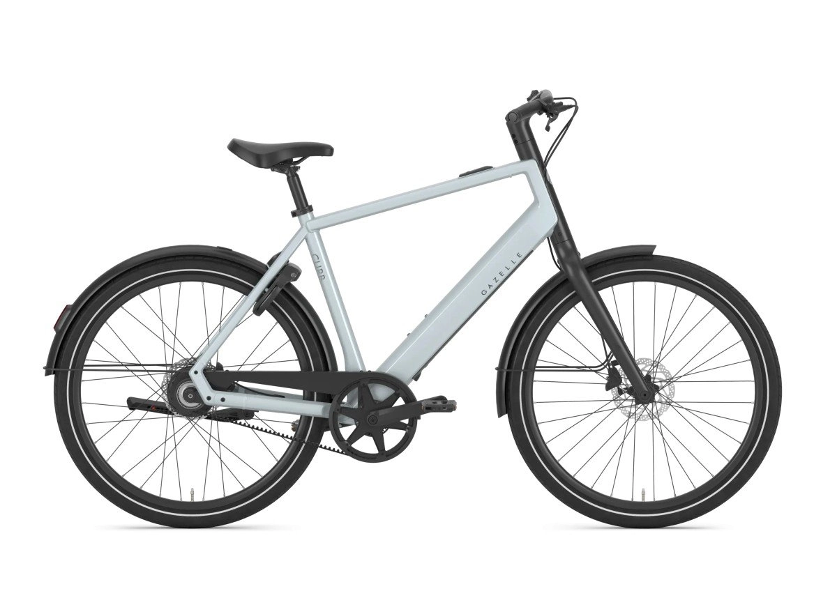 GAZELLE Curb C1 HEREN Platinum White Glans 60cm