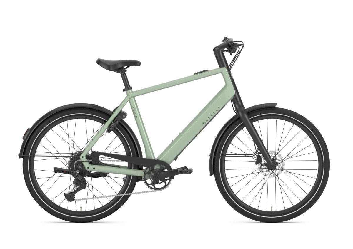 GAZELLE Curb T9 HEREN Pistache Green Glans 60cm