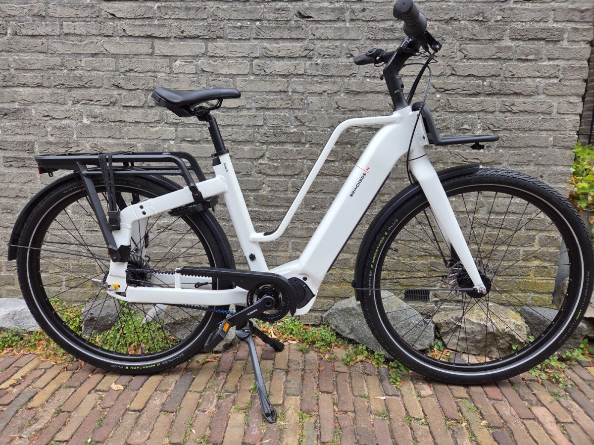 Brinckers Blazar Wit 50cm 2026 (8720143981142)