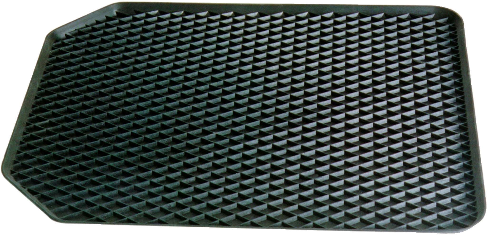CARPOINT RUBBEREN SCHAALMAT (8711293033881)