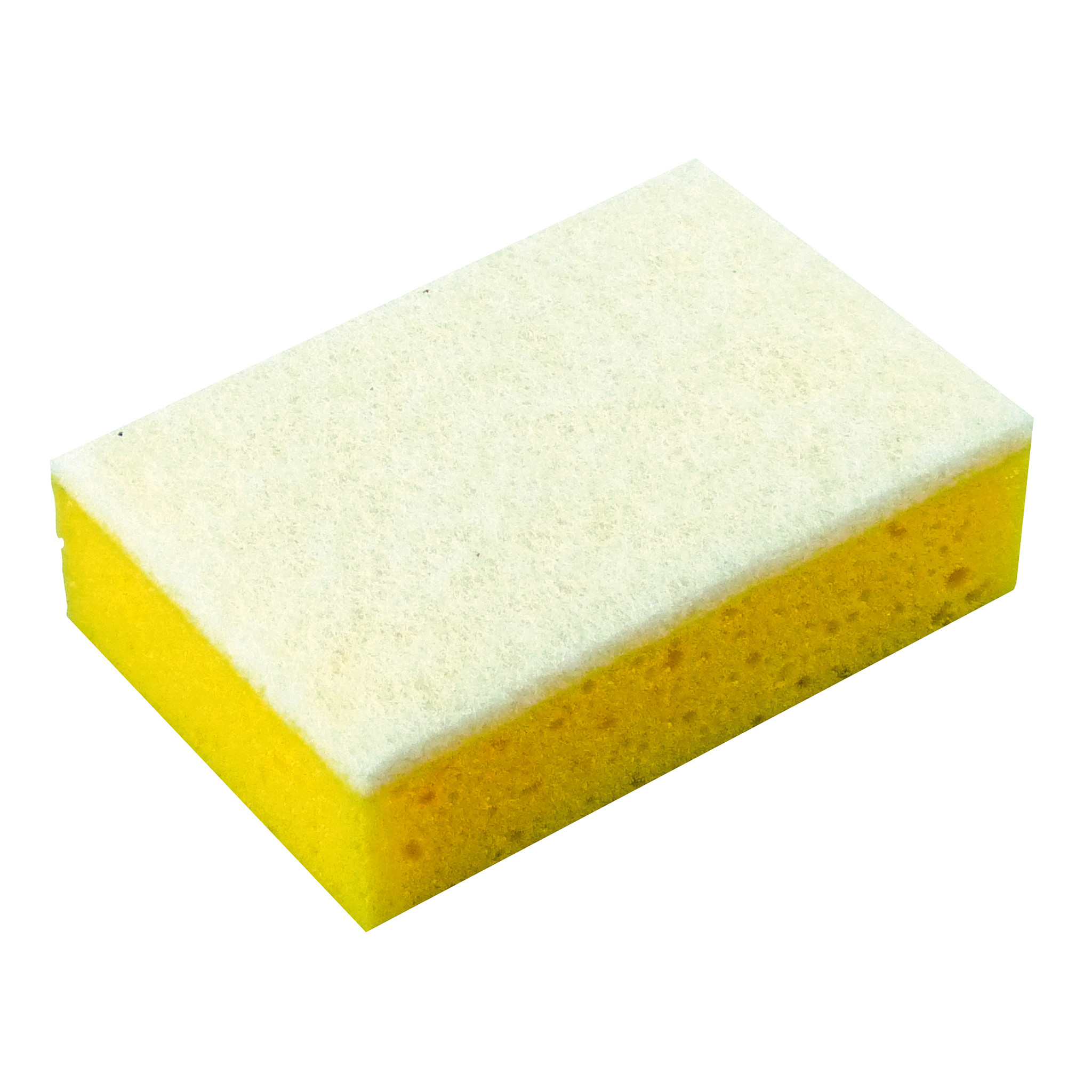 Protecton Insectenspons (8711293112289)